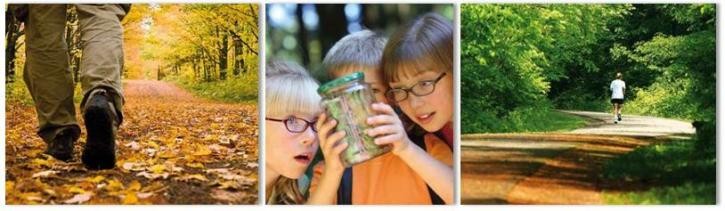 Wald bewegt Wald bewegt