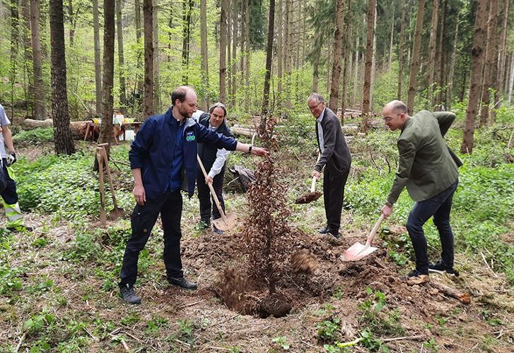 Pflanzung des Europabaumes