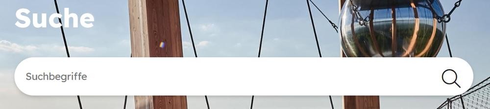 Screenshot des Suchfeldes