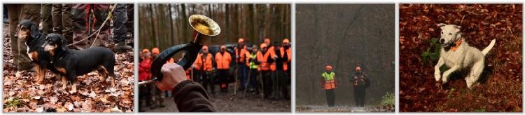 Kollage von Jagdbildern