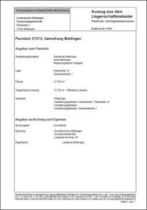 Beispielfoto Auszug Liegenschaftskataster