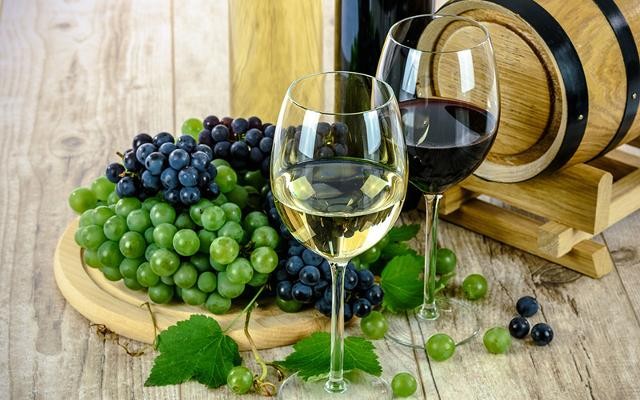 Weingläser vor Weintrauben 