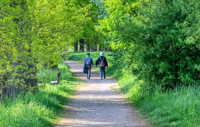 Senioren spazieren im Wald