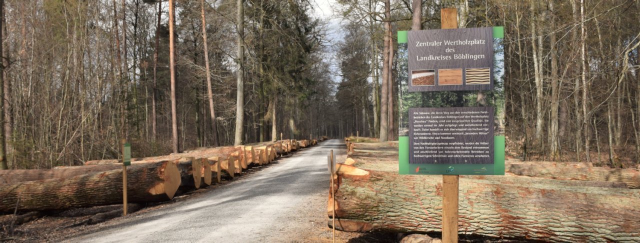 Wertholzplatz Rosshau