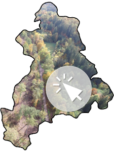 Die Landkreissilhouette, gefüllt mit einem Foto eines bunten Herbstwaldes und einem Pfeil im Kreis, der anzeigen soll, dass das Bild mit einem Link zum entsprechenden BürgerGIS-Projekt hinterlegt ist.