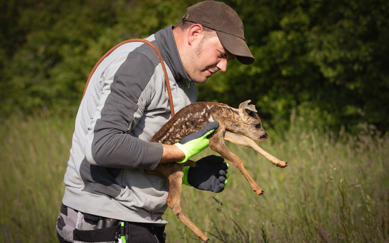 Kitzrettung (c) Kreisjägervereinigung - Julia Döttling.png