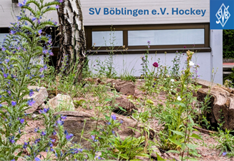 Beet vor SVB