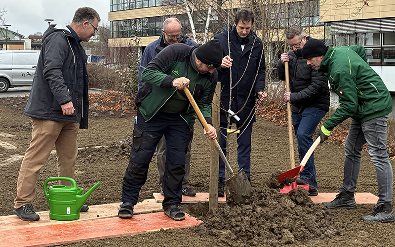 Bild von Pflanzaktion