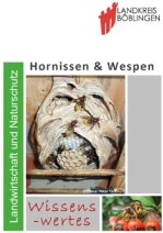 Wespen- und Hornissen-Merkblatt
