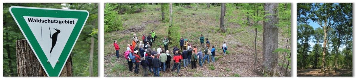 Fachexkursion im Wald- und Naturschutzgebiet Fachexkursion im Wald- und Naturschutzgebiet