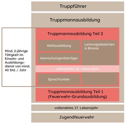 Schaubild Ausbildung