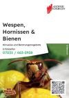 Postkarte Wespen, Hornissen, Bienen_Seite 1