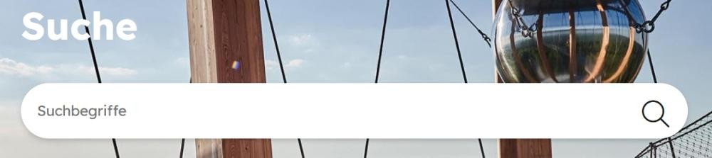 Screenshot des Suchfeldes