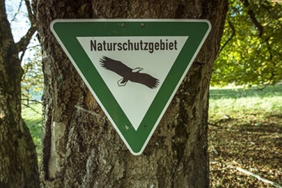Schild Naturschutzgebiet am Baumstamm