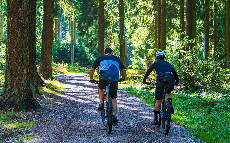 Fahrradfahrer im Wald