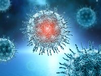Virus stark vergrößert