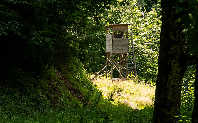 Jadsitz