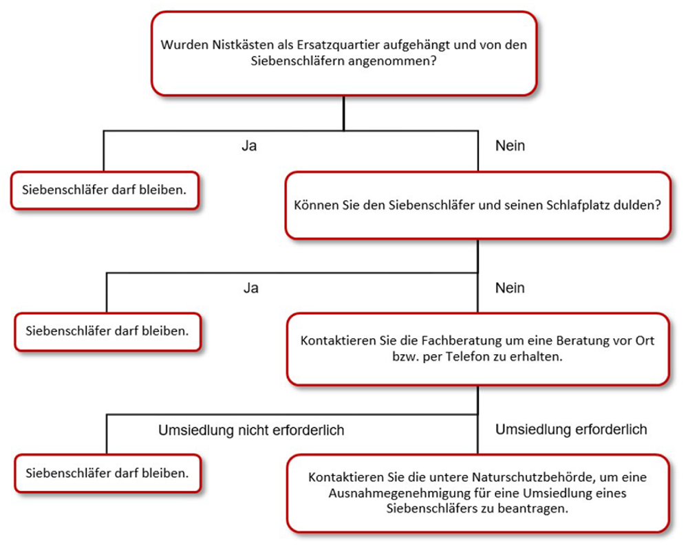 Grafik